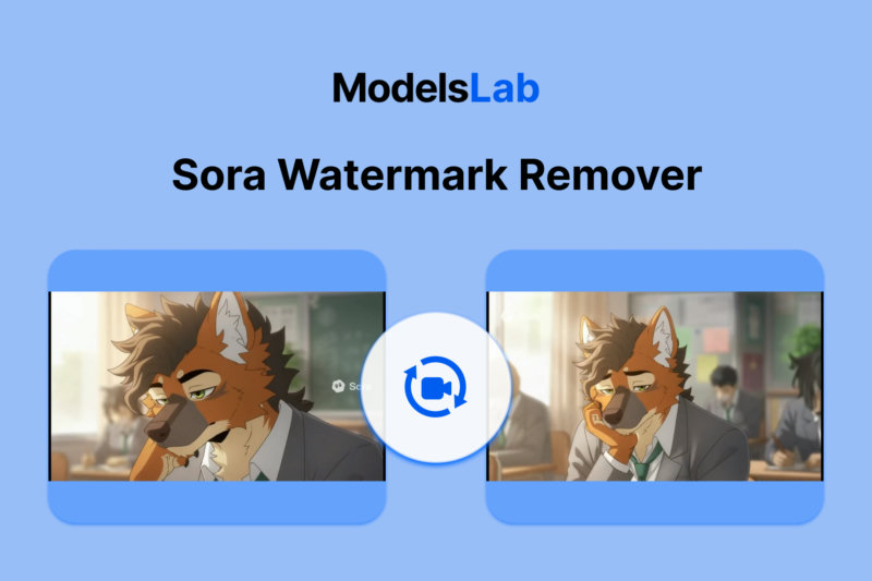 Sora Watermark Remover