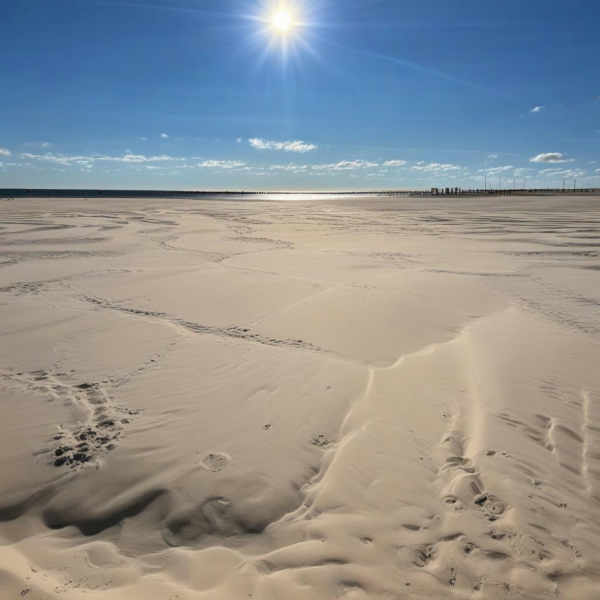 Waves and Beach - V1