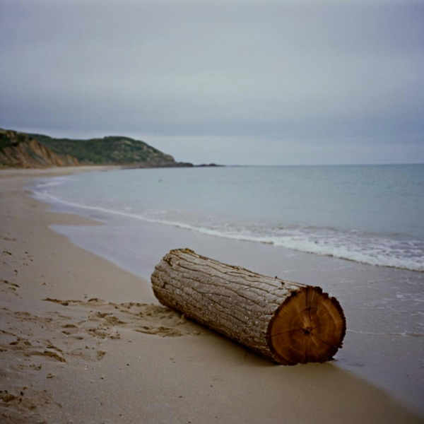 Nolan Film Stocks (5219 500T, 5207 250D, etc.) XL + F1D - Nolan Film Stocks xl v1.0