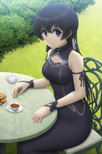 Siraha Style LoRa - Animagine v1.0