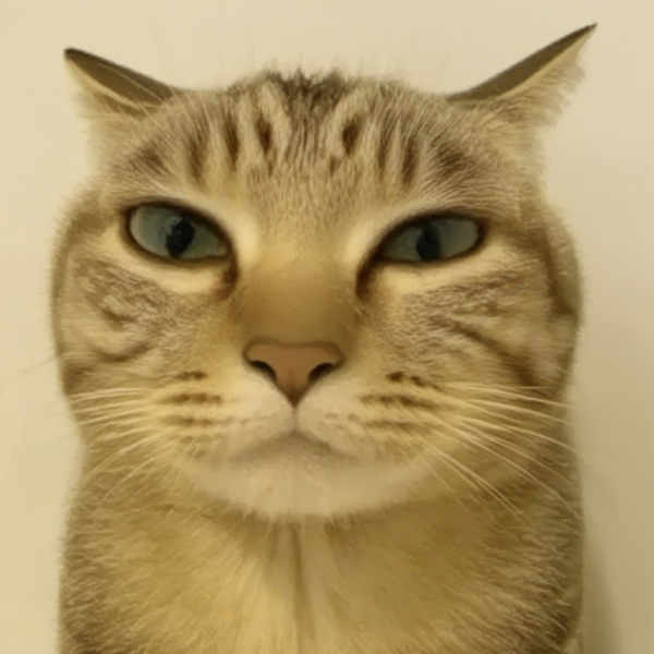 Pister Menis (Mr. Penis) - v1.0