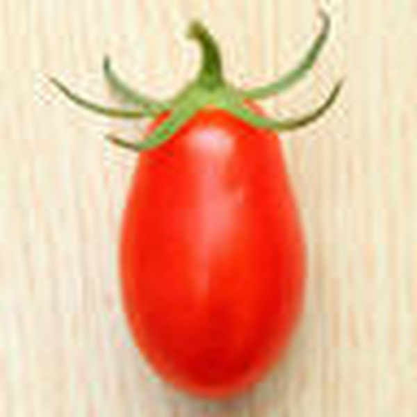 JJ's Place -Water Park - XL v1.0