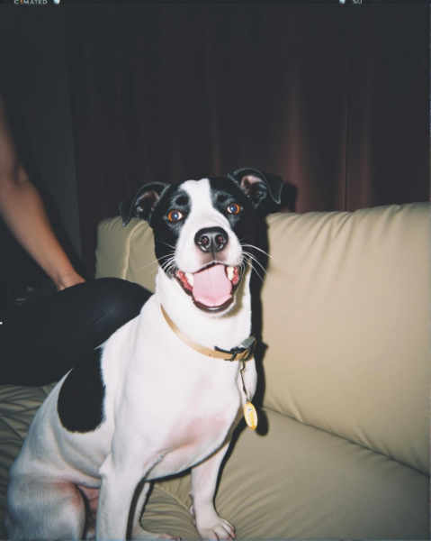 Kodak FunSaver Disposable - Kodak Gold 800 film - V1