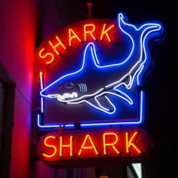 Vintage Neon Signs - V1
