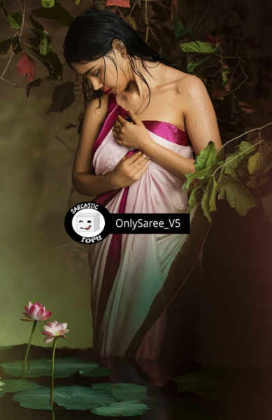 OnlySaree_by_Sarcastic_TOFU - v5.0