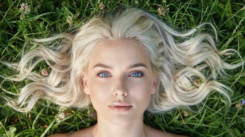 Vanessa_V1.1 - Vanessa_model_V1.1