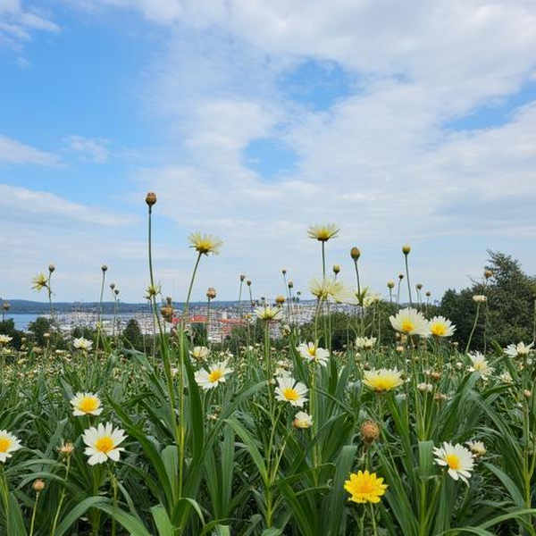 Samsung Galaxy S23 Ultra Photographic Style - SD3.5/Flux - V1 Flux