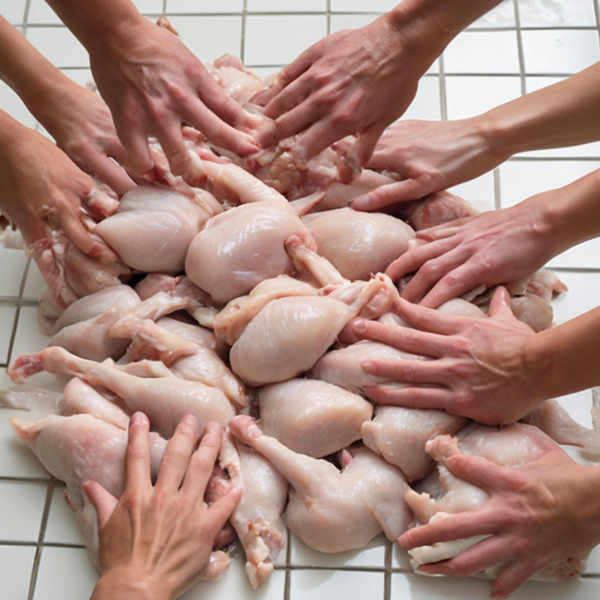 Bird Lovin' Dudes - Bird Lovin' Pals XL