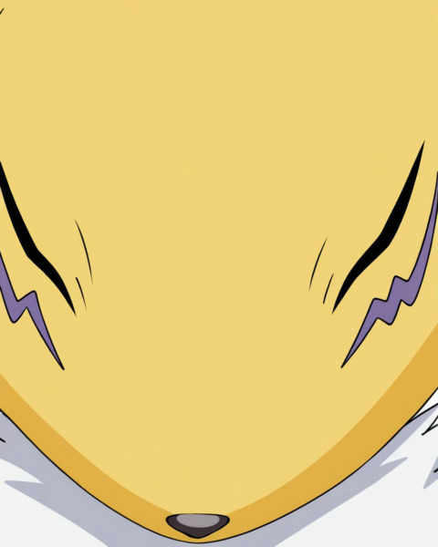 Renamon Digimon PDXL & NoobAI-XL - V3