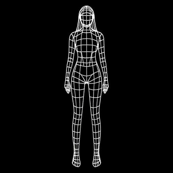 Wireframe - 3D asset - Mesh - V1