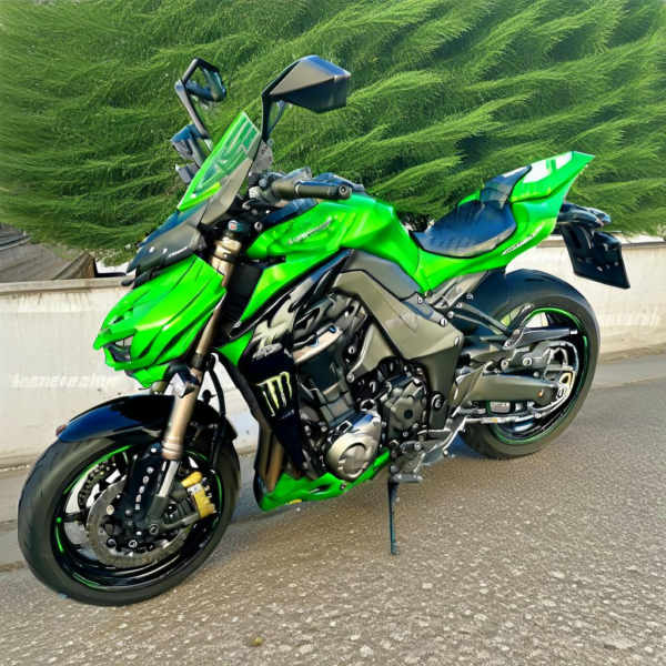 Kawasaki Z1000 2014 - V1