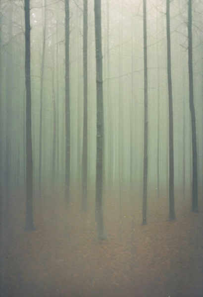 RA4_FujiCrystal - SDXL