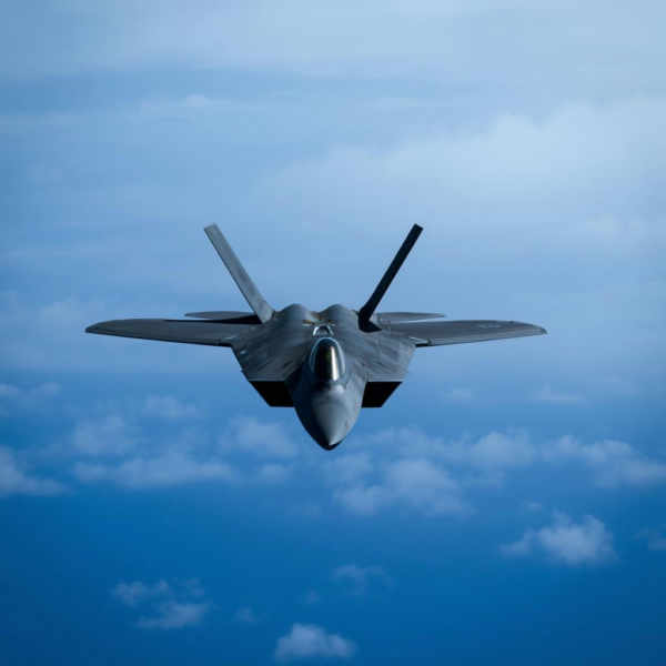 Lockheed Martin F-22 Raptor XL + F1D - F-22 F1D v1.0