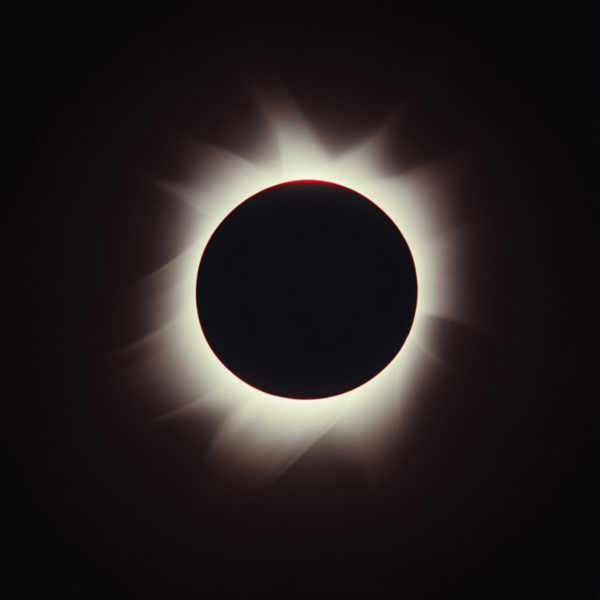 Ron Fricke Film Director and Cinematographer style XL + SD1.5 + F1D - Ron Fricke XL v1.0