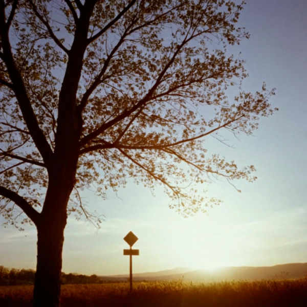 16mm (Super) Film Emulator style XL + F1D - 16mm XL v1.0