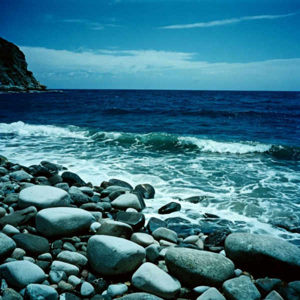 Kodak VISION3 250D analog film stocks footage F1D + XL - VISION3 250D XL v1