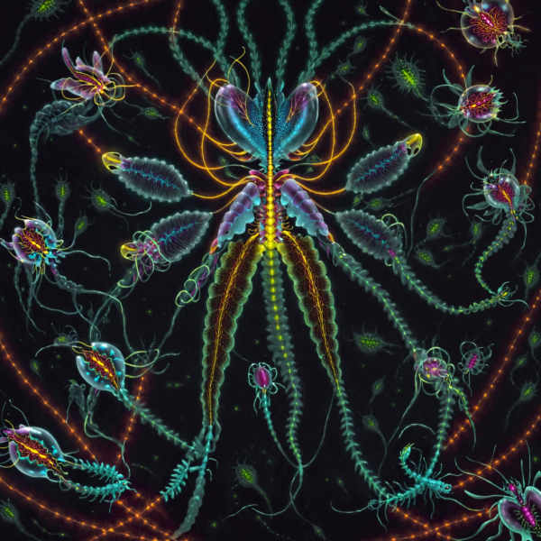 Neon Pop Haeckel - SDXL