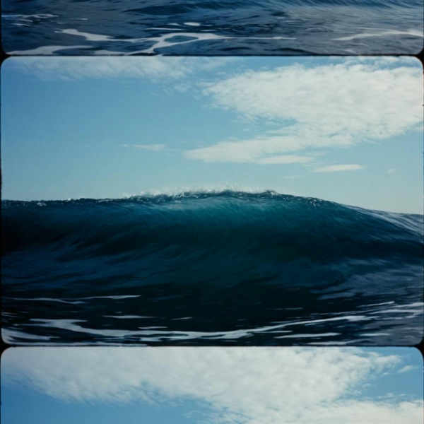 Bolex Camera style F1D + XL - Bolex XL v1.0