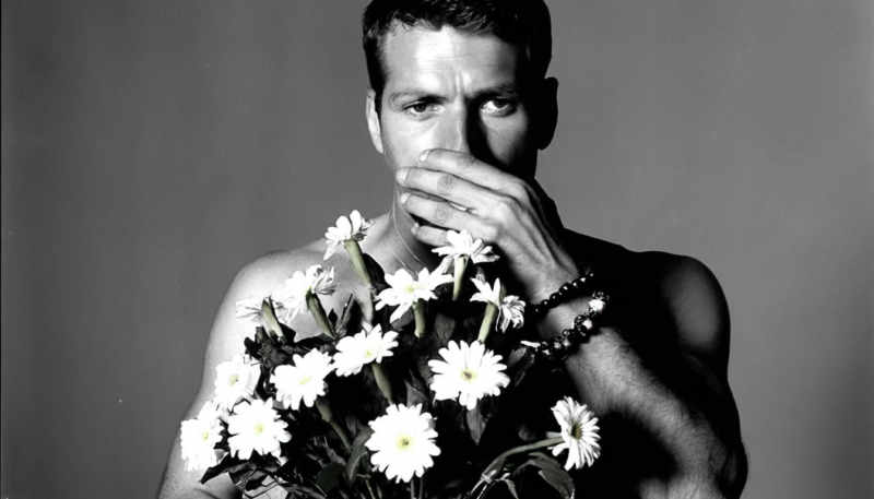 NatViS: Natural Vision - v2.0