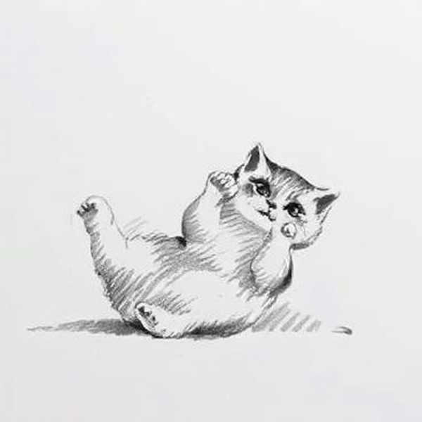 Pencil Sketch - Sketchs of pets and everything else - Bold and large strokes - Flux