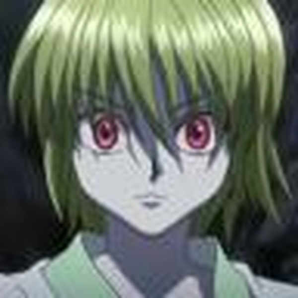 Fur coat LoRA for Flux - V1