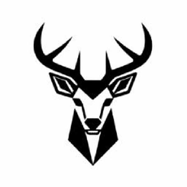 Geometric-logo - v1.0