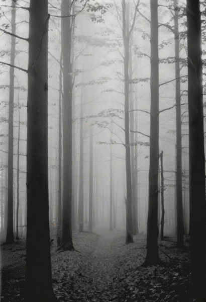 KB_Kentmere400 - SDXL