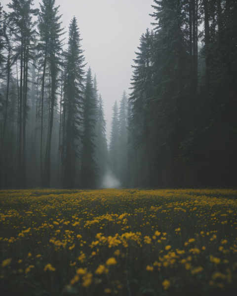 - RSS12-ProjectMen Edition